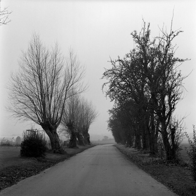 LUCA BERTI. 'Road'. Ero, 2011