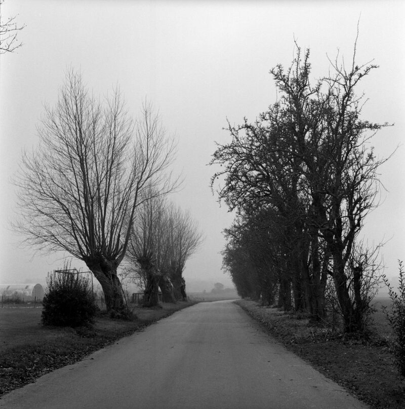 LUCA BERTI. ‘Road’. Ero 2011