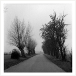 LUCA BERTI. ‘Road’. Ero 2011