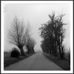 LUCA BERTI. ‘Road’. Ero 2011